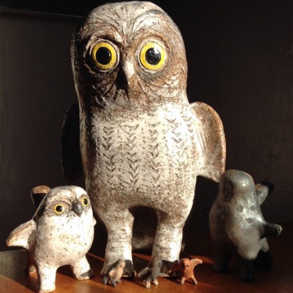 Owls that whistle
